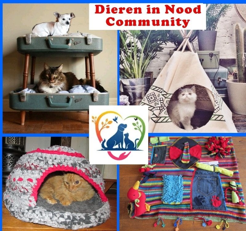 Tbv kat poes kitten Vintage toffe retro kattenartikelen, Ophalen of Verzenden, Nieuw, Overige