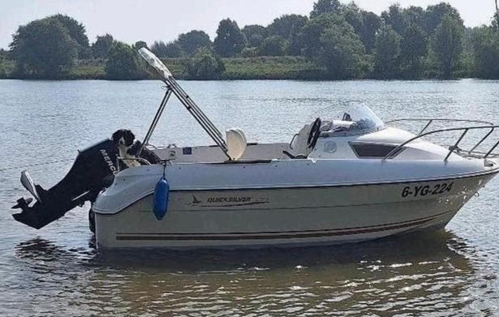 Mooie quicksilver 470 cabin + 50 pk 4 takt EFI, Ophalen, Zo goed als nieuw, Quicksilver