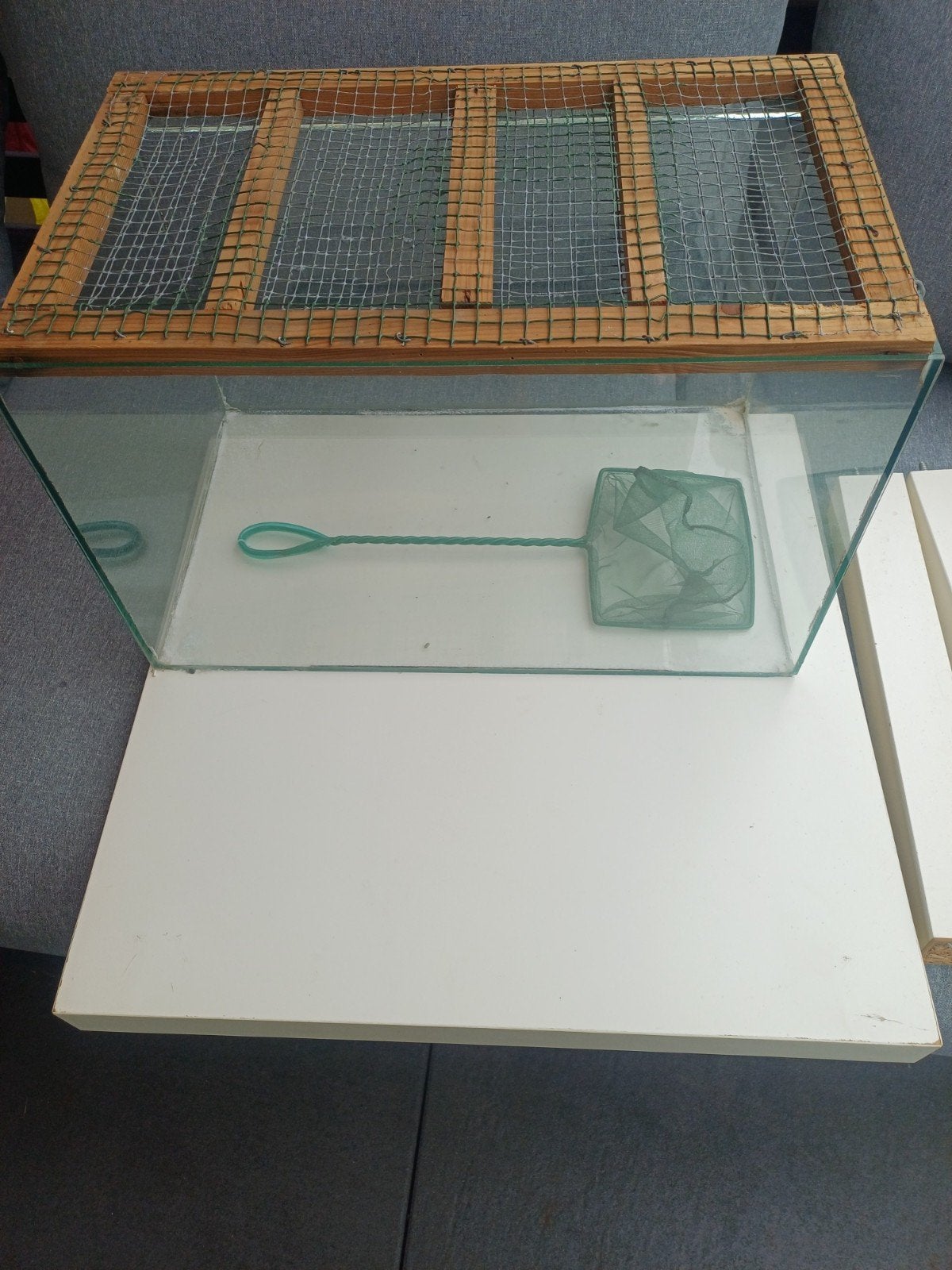 terrarium l x b x h = 50 x 30 x 30, Overige typen, Zo goed als nieuw, 75 tot 110 cm, Ophalen