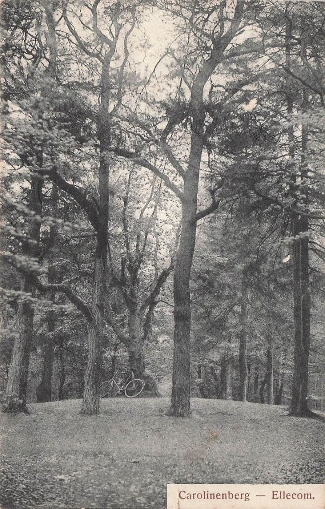 702-136-001 Carolinenberg Ellecom, Verzenden, Voor 1920, Gelderland