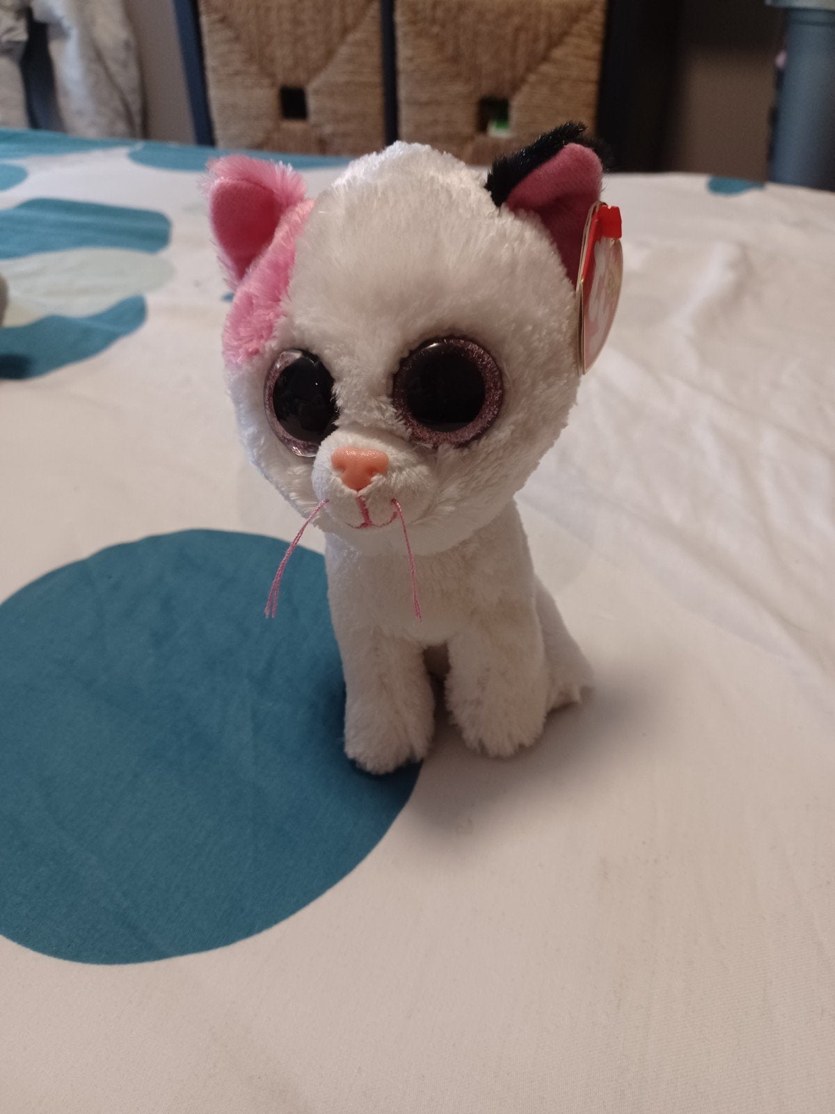 Ty Beanie Boo Katje met Grote Ogen - Zo goed als nieuw, Ophalen, Kat, Klein (minder dan 20 cm), Wit