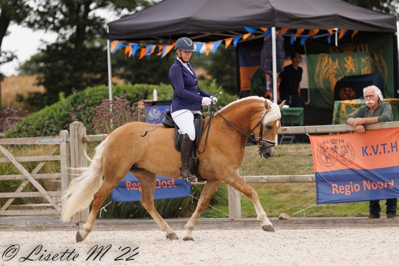 Haflinger sport merrie Z dressuur, Merrie, Minder dan 160 cm, Met stamboom, Z