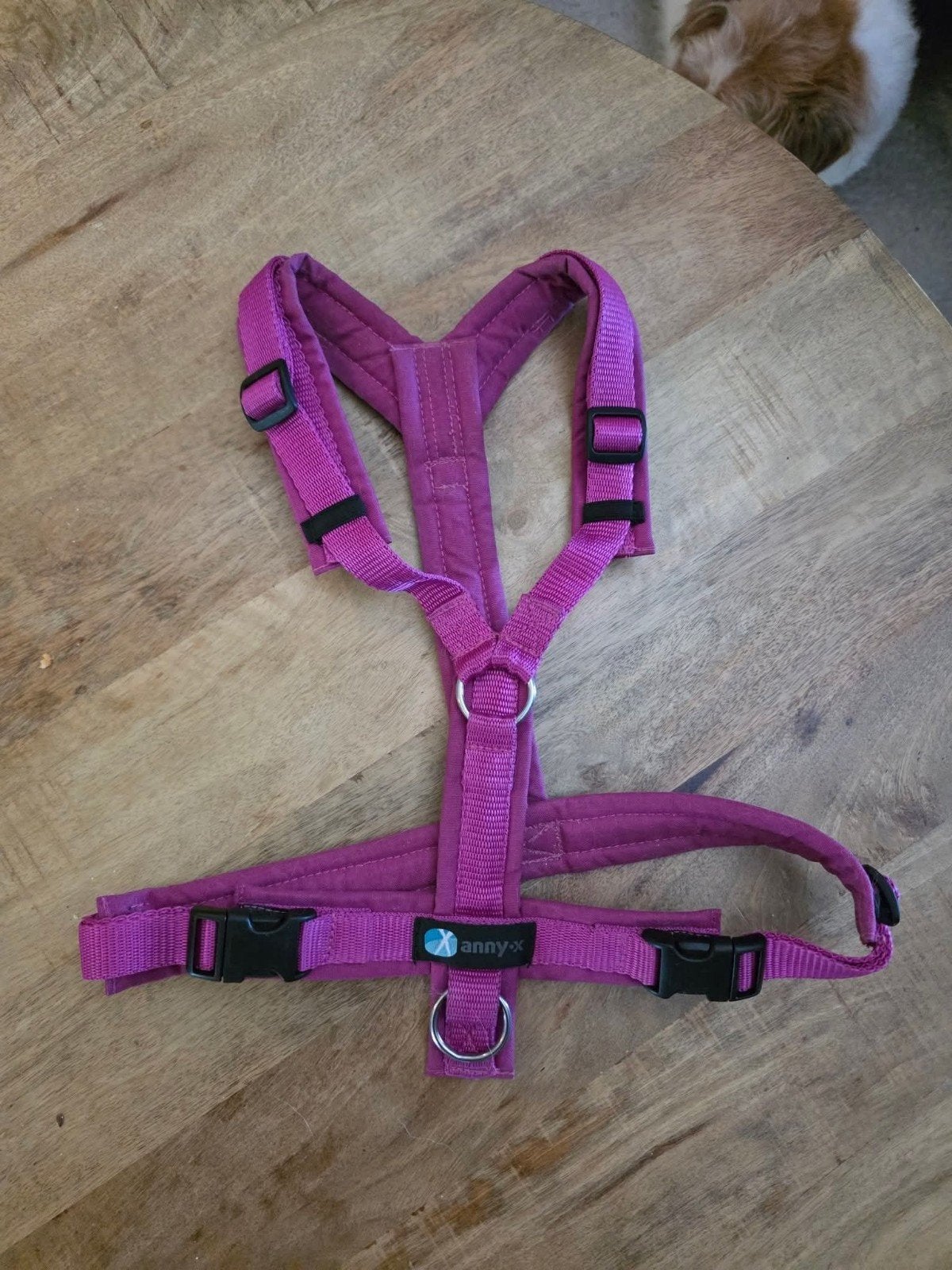 anny x Maat S, Dieren en Toebehoren, Ophalen of Verzenden