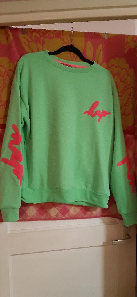 Nieuw trui neon kleur smiley 42 44, Kleding | Dames, Truien en Vesten, Ophalen of Verzenden, Nieuw, Maat 42/44 (L), Groen