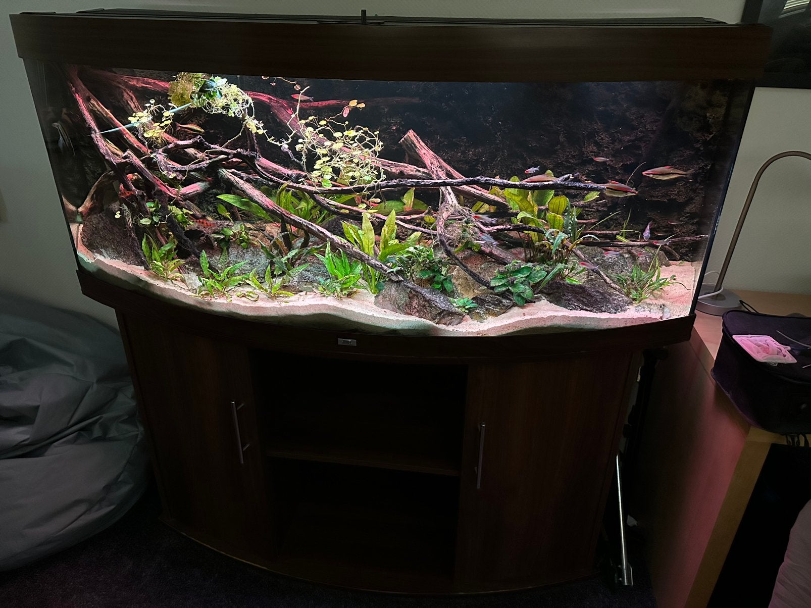 Juwel vision 450 liter, Ophalen, Gebruikt, Leeg aquarium