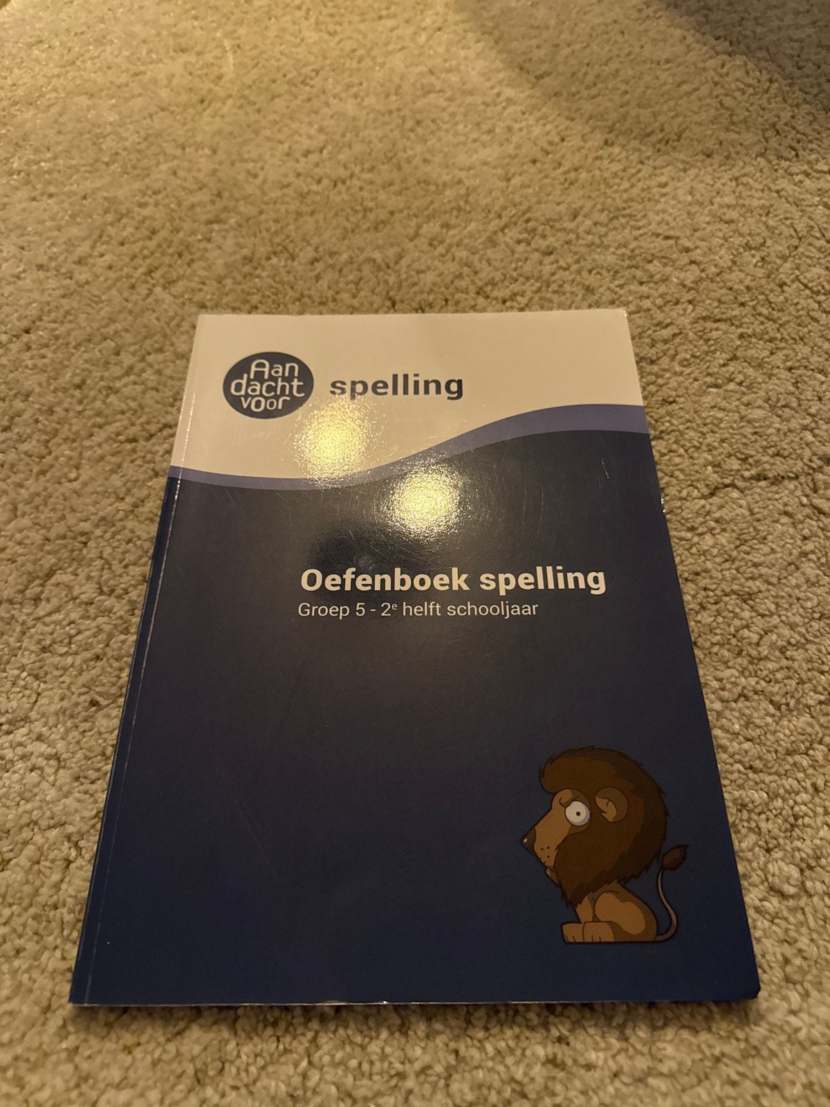 Oefenboek spelling Groep 5 - 2e helft schooljaar, Ophalen of Verzenden, Zo goed als nieuw, Overige niveaus, Nederlands