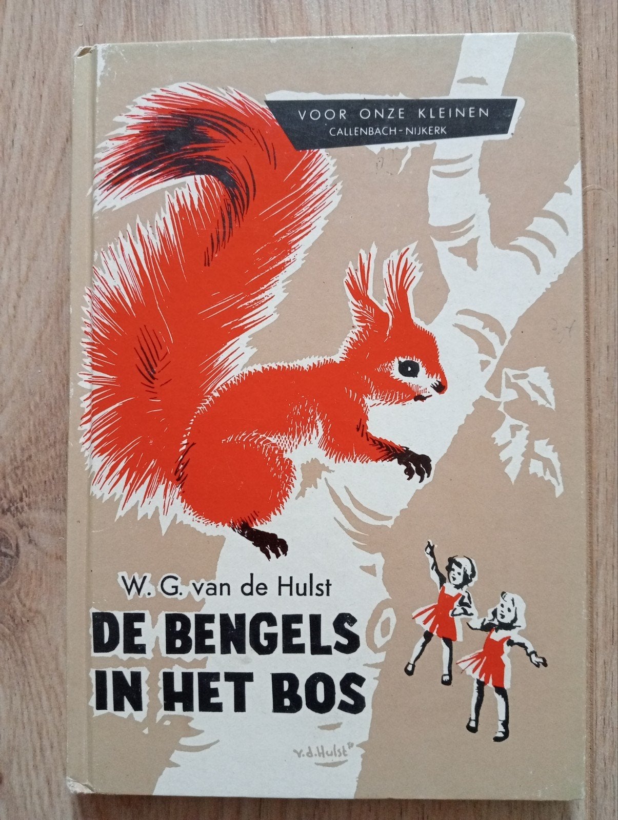 W. G. Van de hulst - de bengels in het bos, Ophalen of Verzenden, Gelezen, W.G. van de Hulst., Fictie algemeen