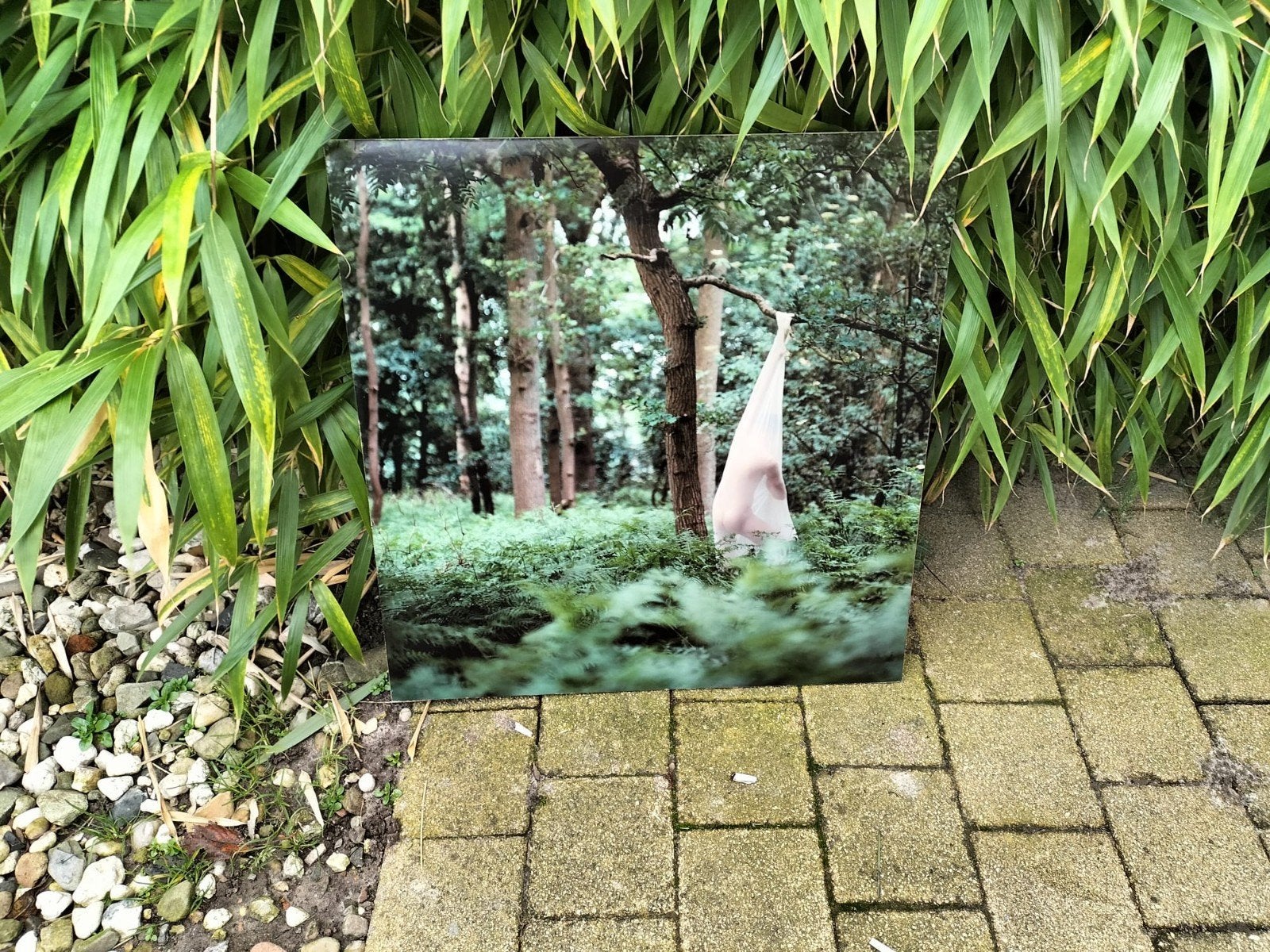 Marjolein Busstra - Academie Minerva - Fotografie, Ophalen of Verzenden