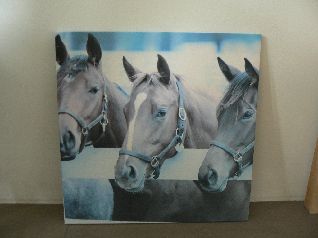 Mooi paardenschilderij 58x58, Kinderen en Baby's, Ophalen, Zo goed als nieuw, Wanddecoratie