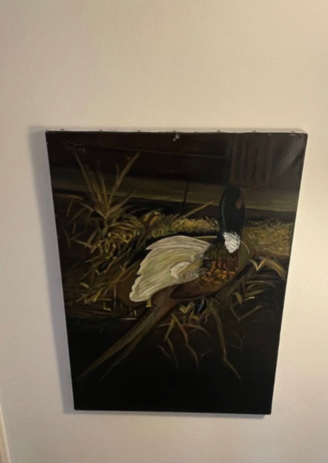 Canvas schilderij Fazant - 50x70 cm, Doek, Realistisch, Dieren, Ophalen of Verzenden