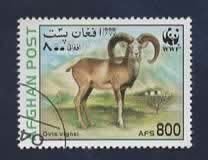 Fauna - Dieren - Steenbok - Afghanistan - 800 AFS - W.W.F., Ophalen of Verzenden, Gestempeld, Dier of Natuur