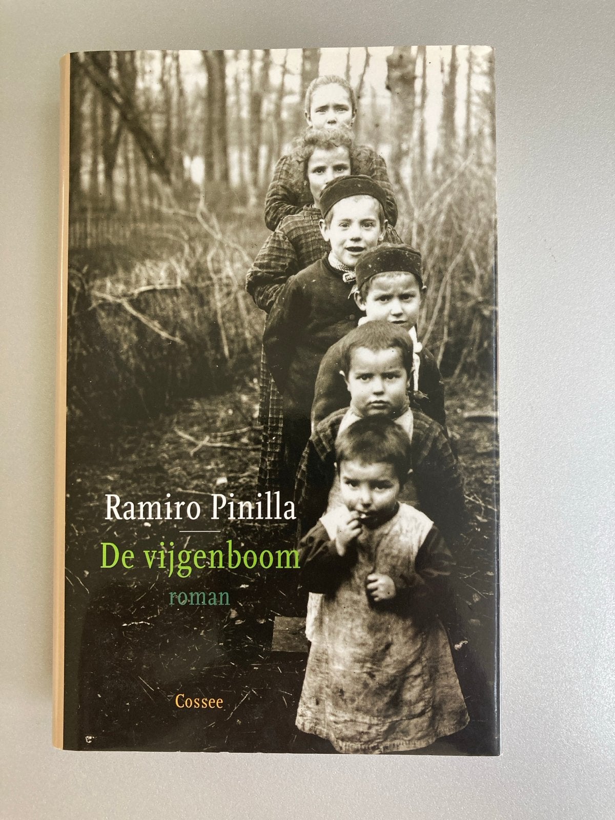 De vijgenboom - Ramiro Pinilla (roman), Boeken, Ophalen of Verzenden, Zo goed als nieuw, Europa overig