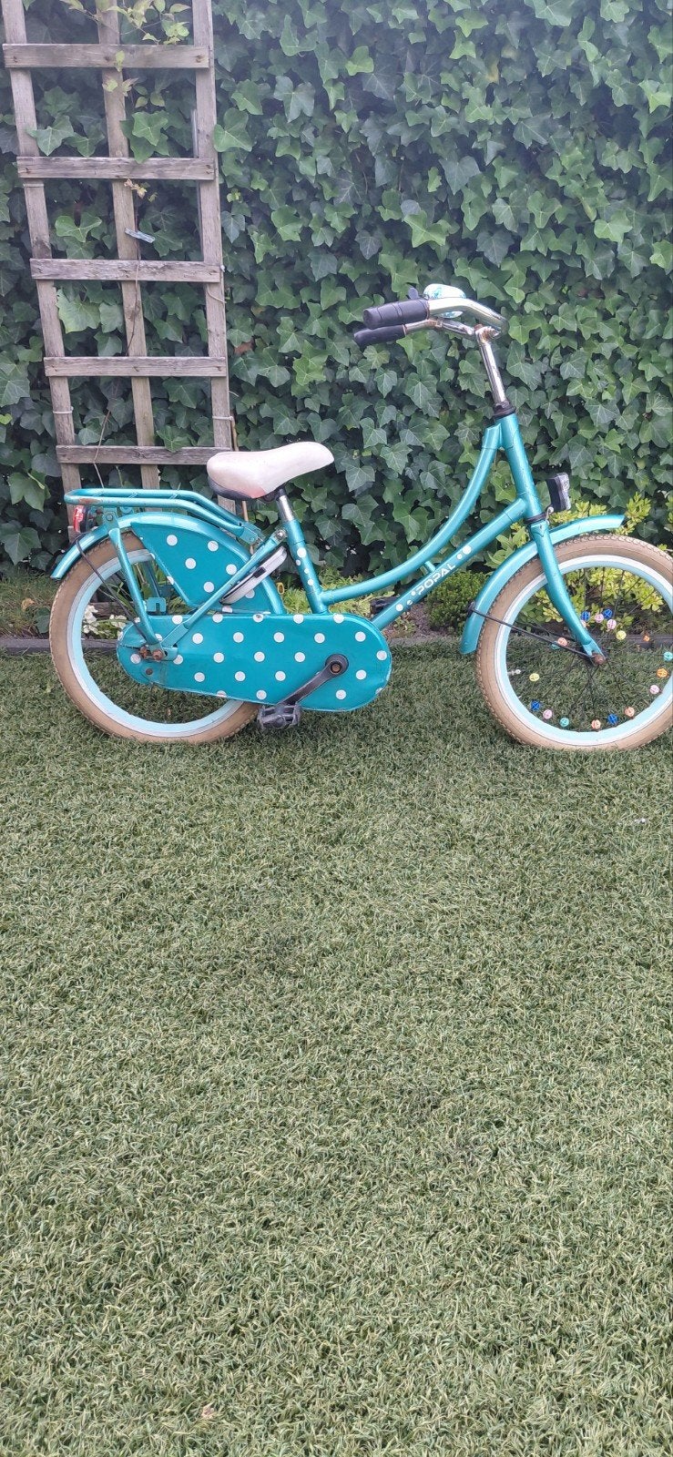 popal kinderfiets, Fietsen en Brommers, Minder dan 47 cm, Ophalen, Gebruikt, Overige merken