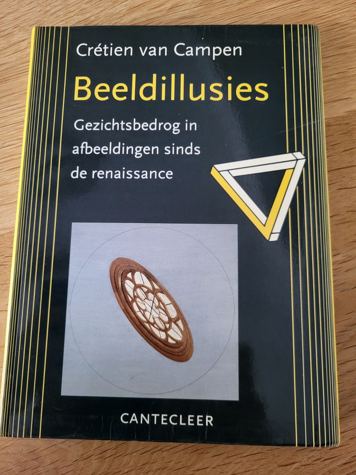 Beeldillusies: Gezichtsbedrog in afbeeldingen, Ophalen of Verzenden, Zo goed als nieuw, Overige onderwerpen, Crétien van Campen