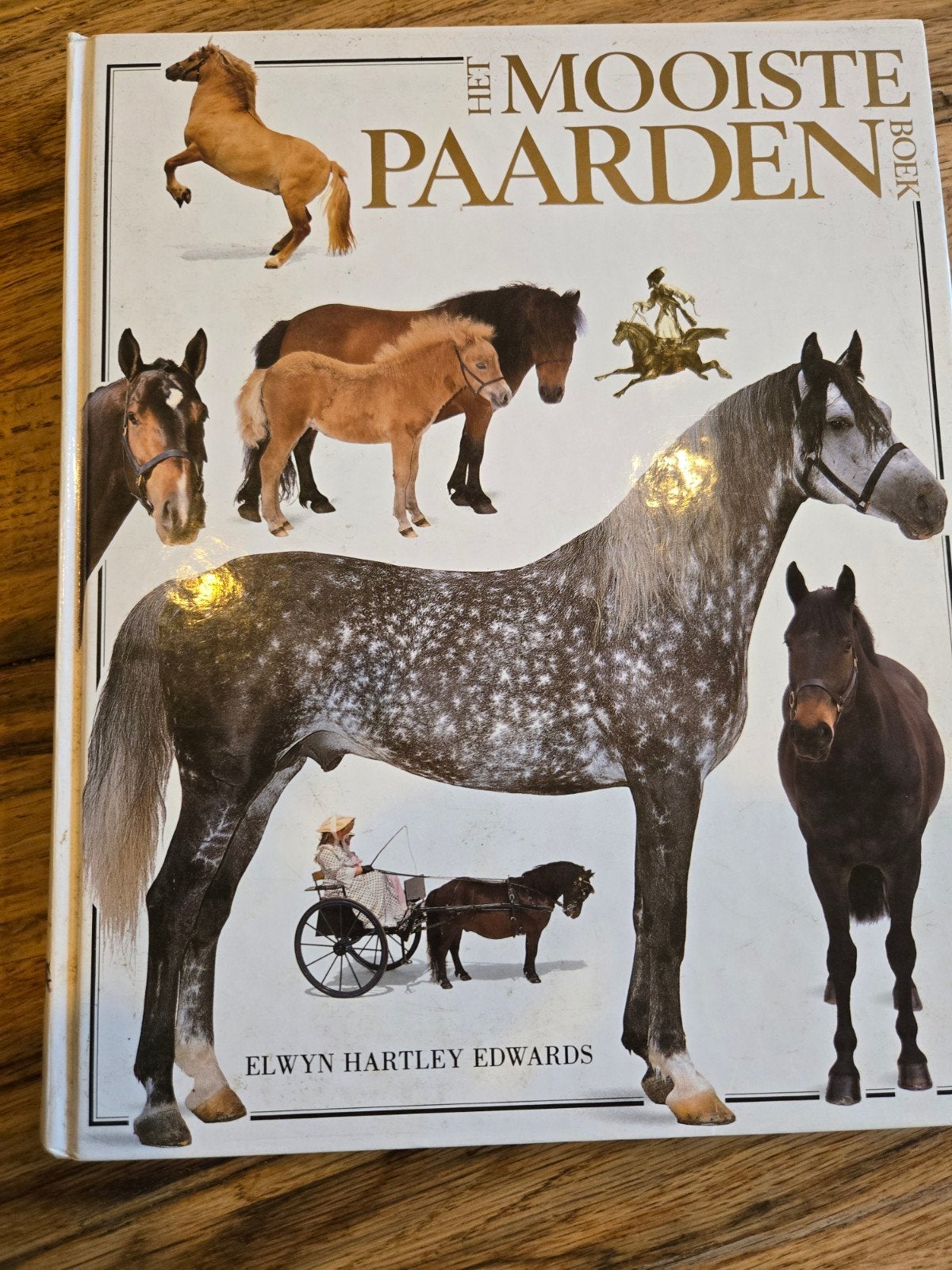 Het Mooiste Paardenboek - Elwyn Hartley Edwards, Ophalen of Verzenden, Zo goed als nieuw, Elwyn Hartley Edwards, Eén auteur