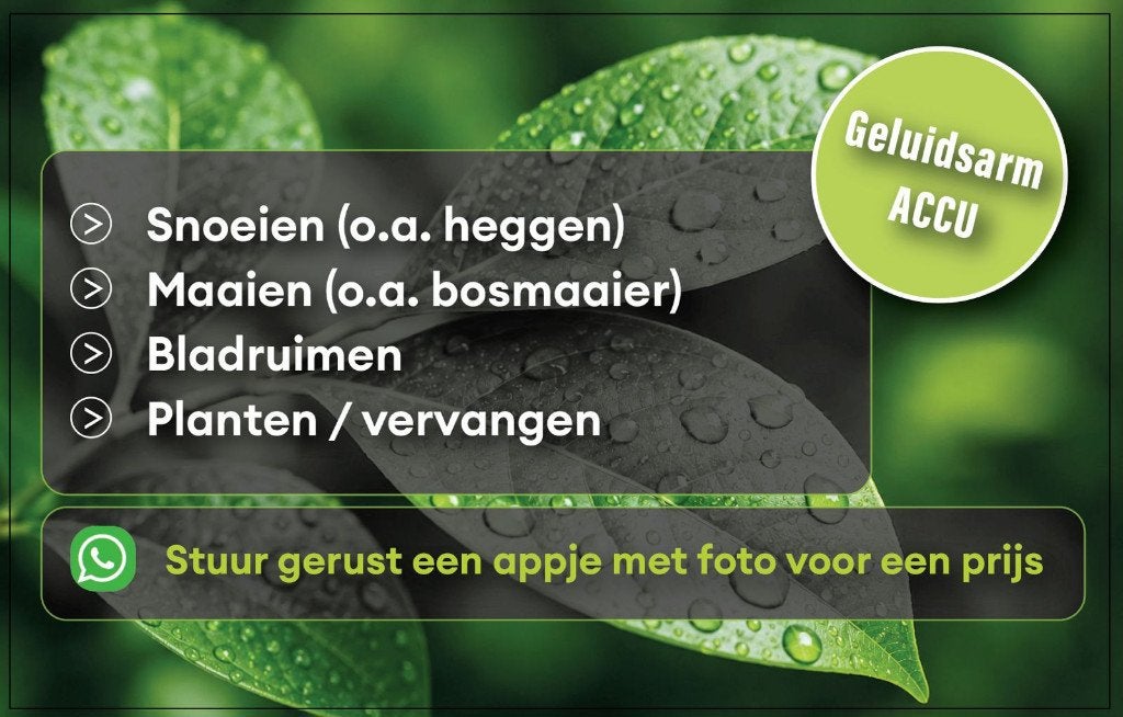 Tuinman, hovenier voor met name snoeien, maaien, Arnhem, Tuinonderhoud of Snoeiwerk