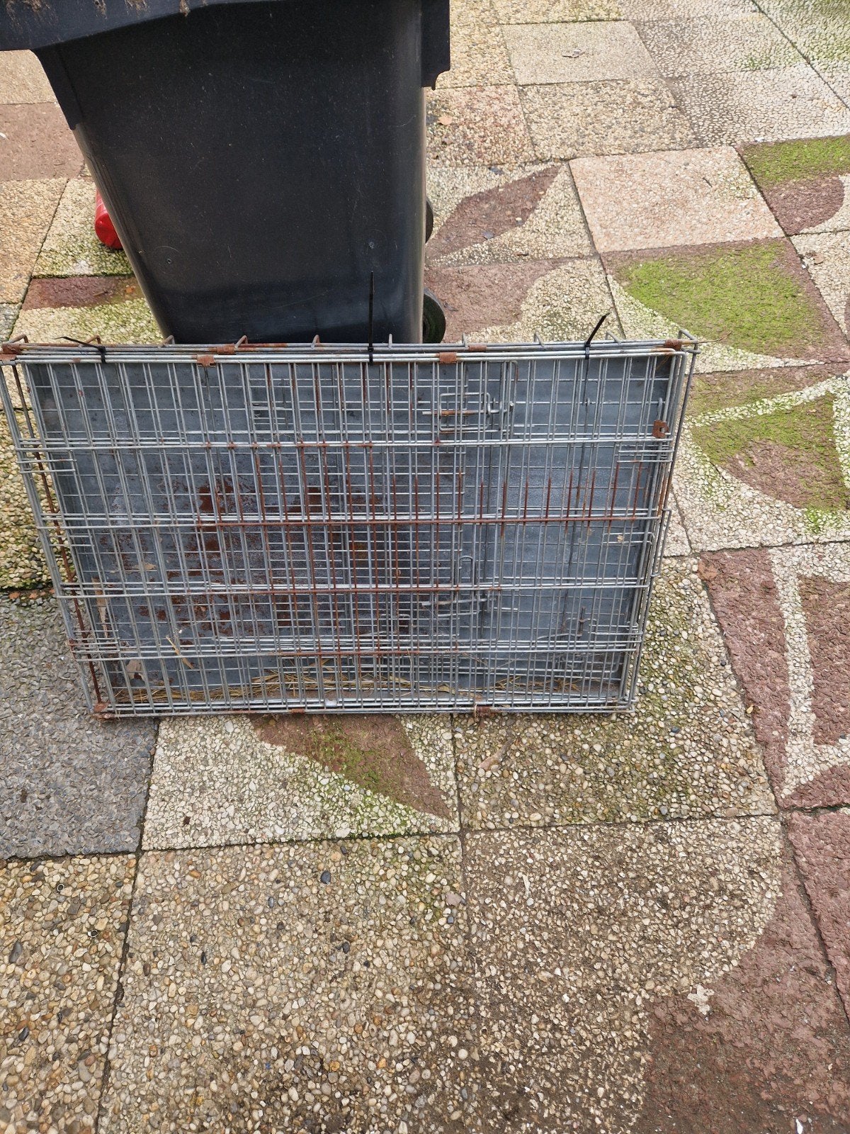 te koop diverse honden bench groot tot klein, Ophalen, Gebruikt
