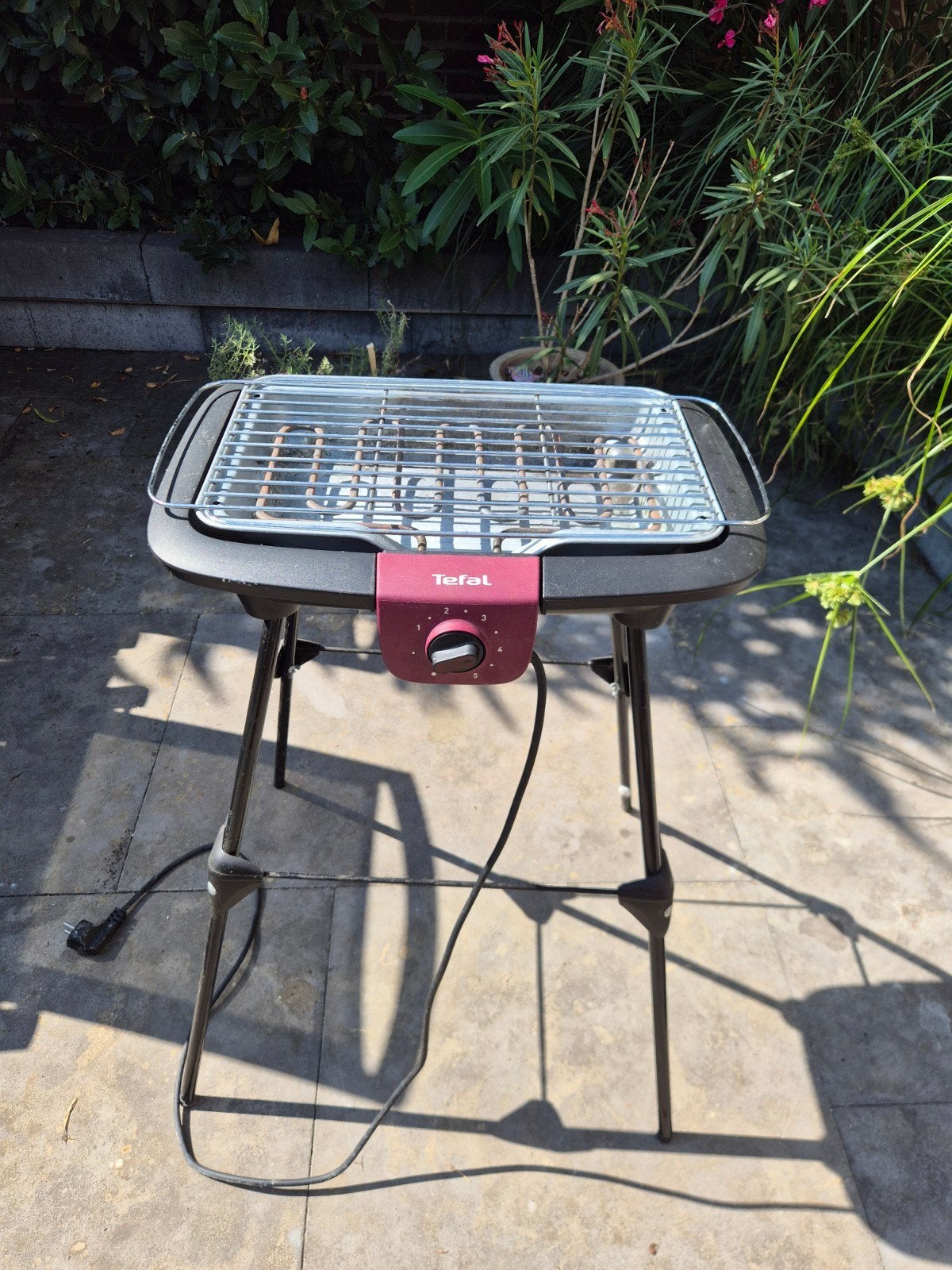 Tefal elektrische barbecue met standaard, Ophalen, Zo goed als nieuw, Tefal