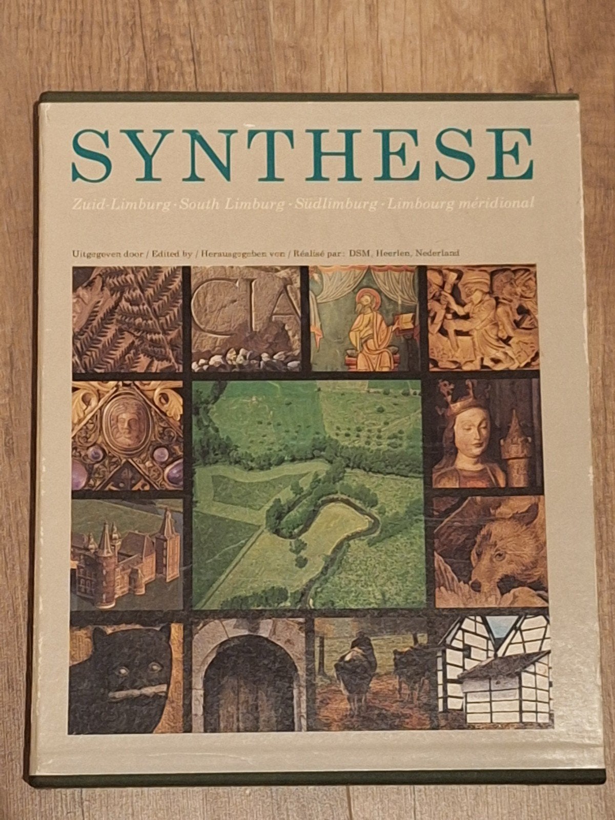 Synthese Zuid-Limburg - Boek in cassette, DSM, Heerlen, Zo goed als nieuw, Ophalen, 20e eeuw of later