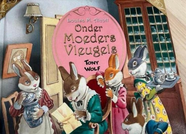 Onder moeders vleugels - Little Women (Tony Wolf editie), Ophalen of Verzenden, Gelezen