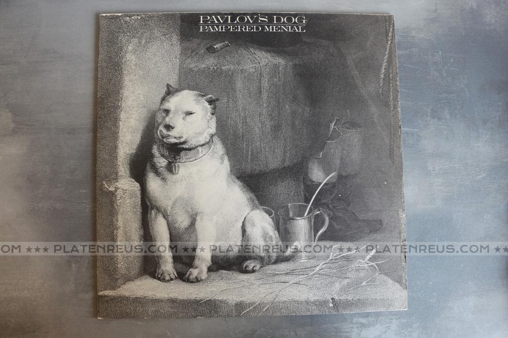 LP Pavlov's Dog – Pampered Menial 1975 Art / Prog Rock 3947, Ophalen of Verzenden, Gebruikt, 12 inch, Poprock