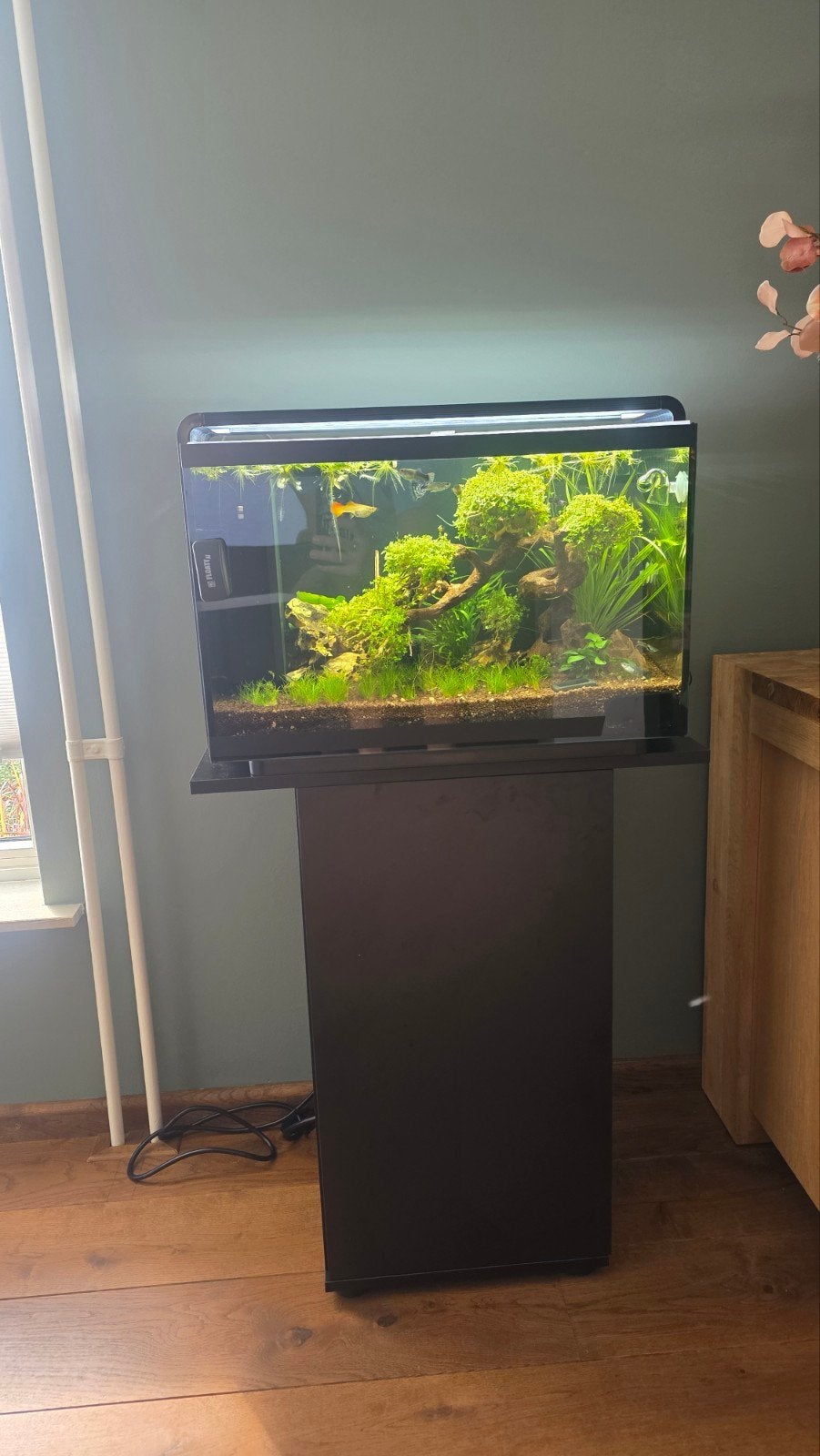 Superfish 65 Proled, Juwel onderkast, slim led controller, Dieren en Toebehoren, Ophalen, Zo goed als nieuw, Leeg aquarium