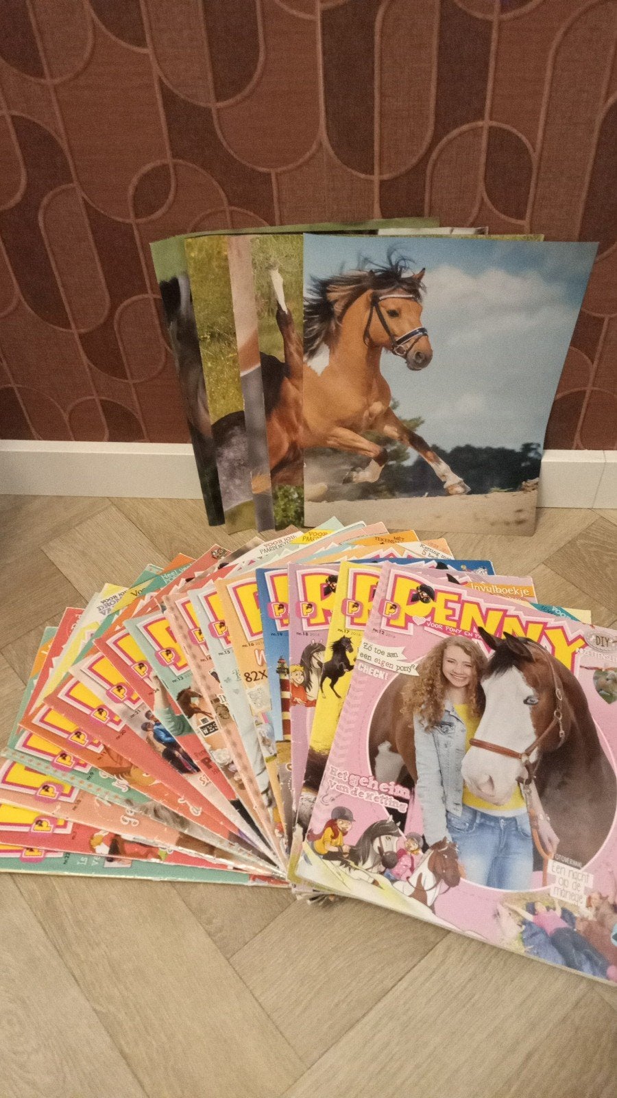 16 hele dikke penny tijdschriften + posters. Meer strips, Meerdere stripboeken, Ophalen of Verzenden, Penny