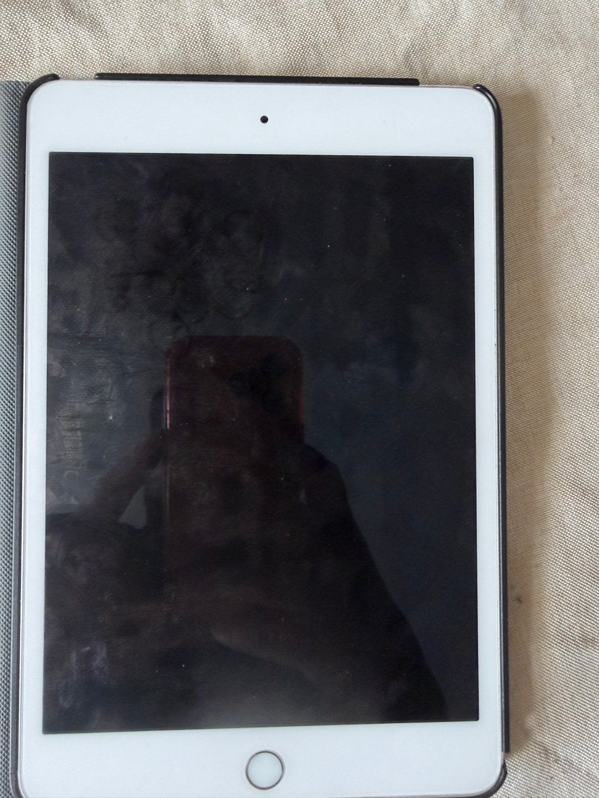 Apple iPad Mini 2 - 16GB - Wi-Fi - Zilver, Computers en Software, Apple iPads, Ophalen, Gebruikt, Zilver, 7 inch of minder