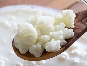 Melkkefir, Ophalen