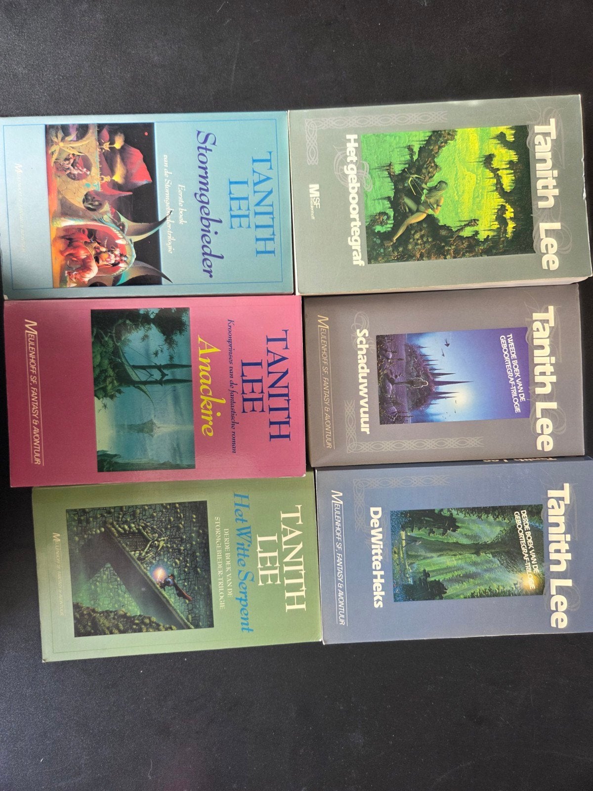 Tanith Lee Fantasy Boeken Collectie - 6 Delen, Ophalen of Verzenden, Gelezen, Tanith Lee