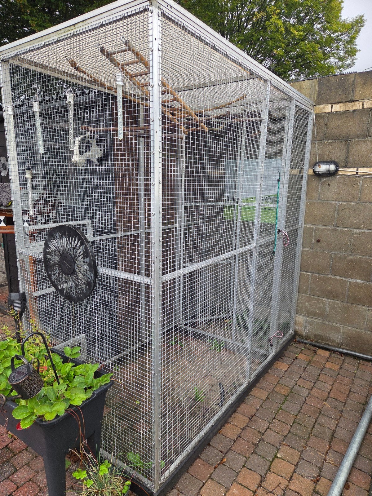 Voliere te koop, Dieren en Toebehoren, Ophalen, Aluminium, Volière