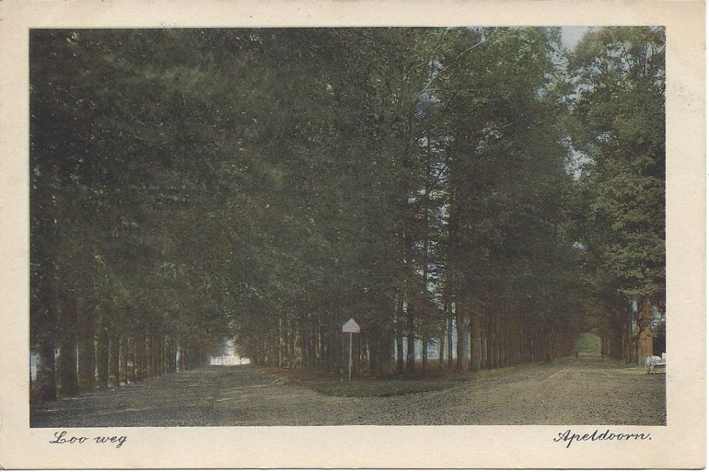 Apeldoorn (Gld.) Loo weg, gelopen 1919, Ophalen of Verzenden, Voor 1920, Gelopen, Gelderland