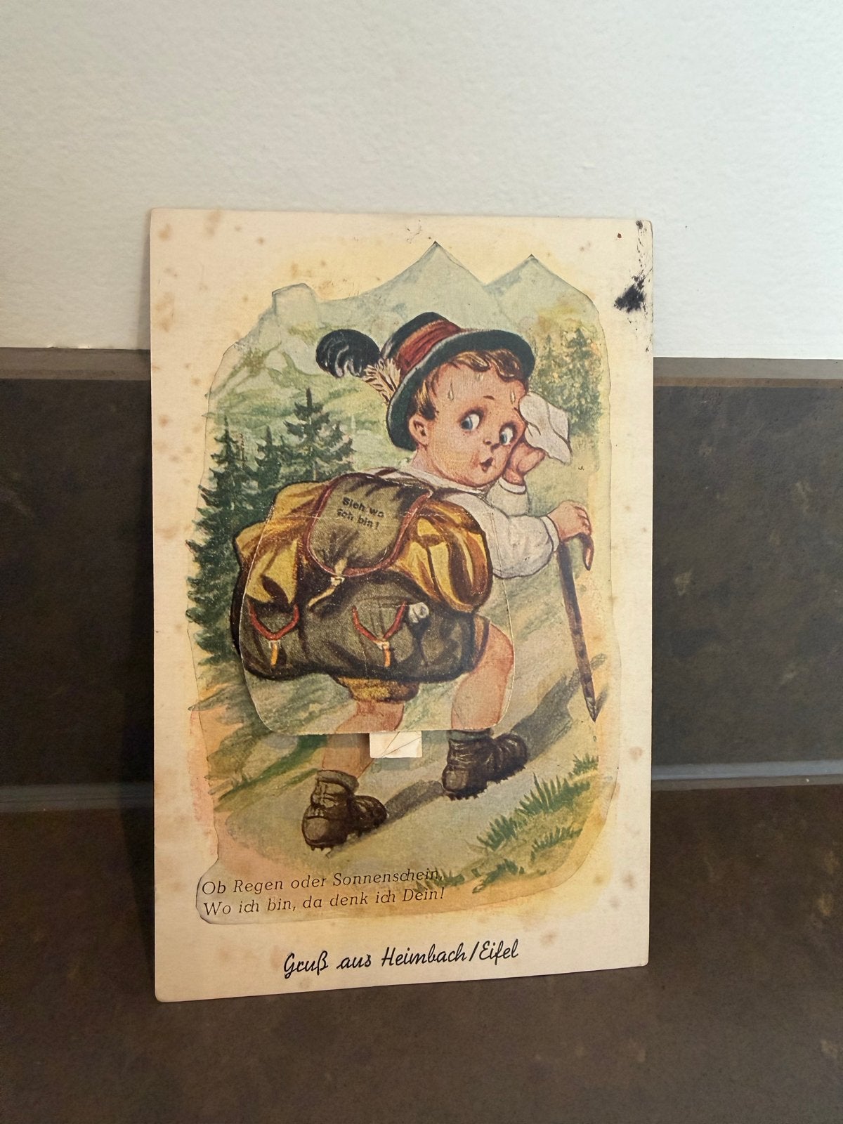 Vintage ansichtkaart Eifel, 1963 - Jongen met rugzak, Ophalen of Verzenden, 1960 tot 1980, Gelopen
