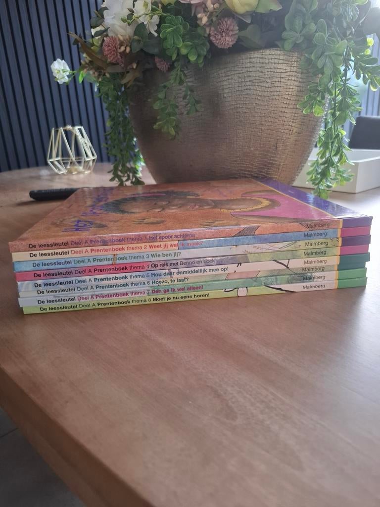 Complete set van de leessleutel, Boeken, Fictie algemeen, Jongen of Meisje, Ophalen of Verzenden, Zo goed als nieuw
