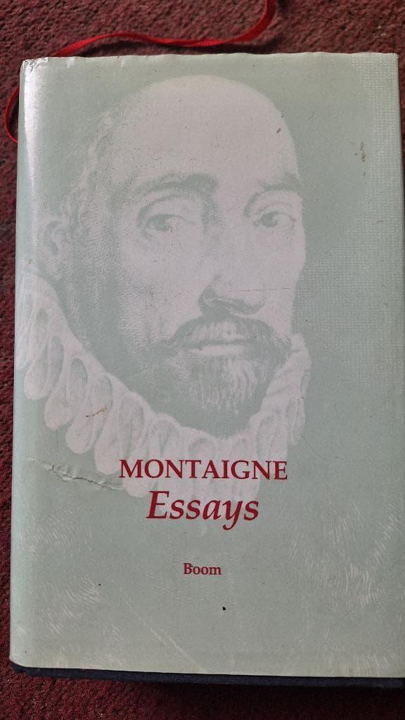 Montaigne essays, Boeken, Montaigne, Ophalen of Verzenden, Zo goed als nieuw, Cultuurfilosofie