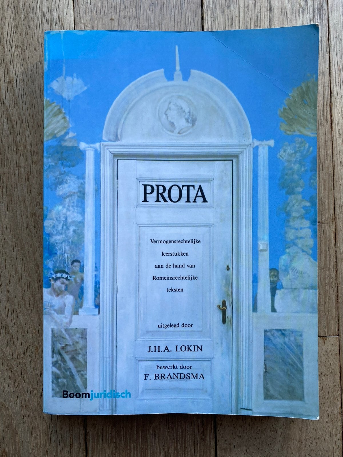 Prota - J.H.A. Lokin, 10e druk, Boeken, Ophalen of Verzenden, Zo goed als nieuw, Overige wetenschappen