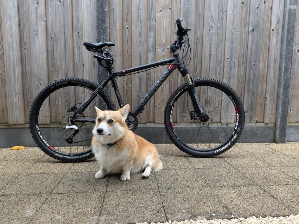 Cube mountainbike 46 cm, 45 tot 49 cm, Ophalen, Gebruikt, Overige merken
