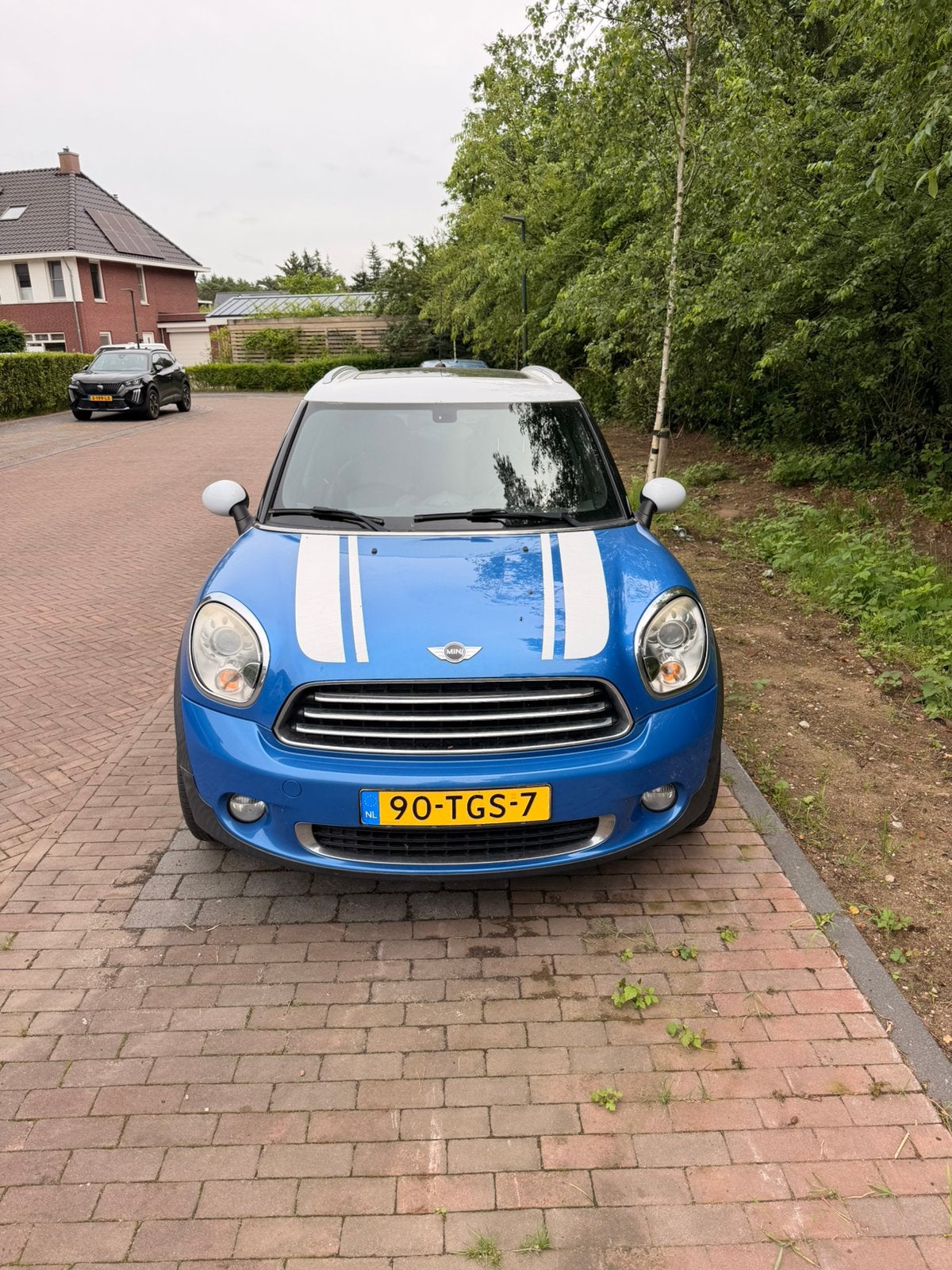 Mini Countryman 1.6 Cooper 2010 Blauw, Voorwielaandrijving, Zwart, Blauw, 122 pk