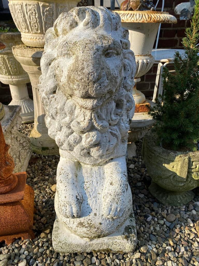 Zware betonnen leeuw voor in de tuin - H 65 cm, Tuin en Terras, Tuinbeelden, Ophalen, Dierenbeeld, Gebruikt, Nvt