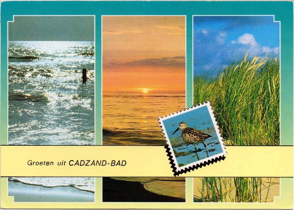 Cadzand  Groeten uit, Ophalen of Verzenden, Gelopen, Zeeland