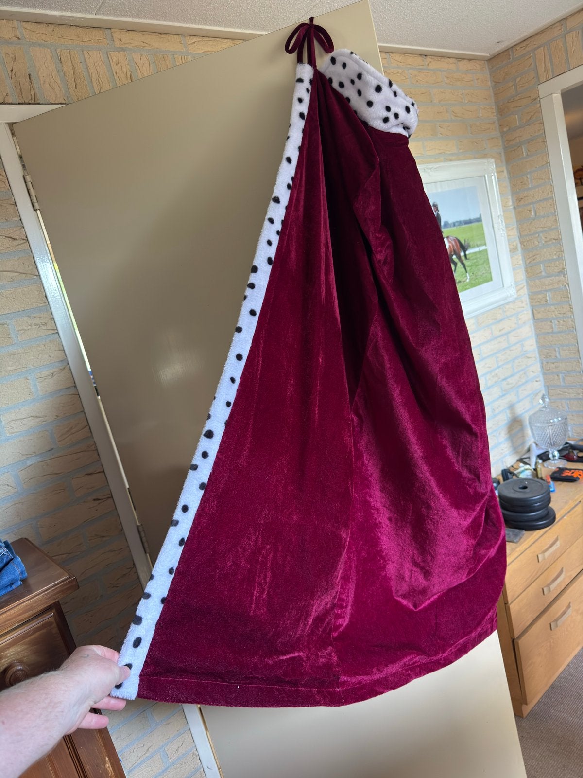 Koningsmantel - Verkleedkleed Koning, Ophalen of Verzenden, Gedragen, Carnaval, Kleding