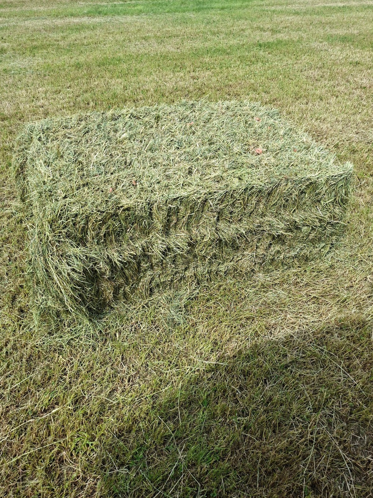 Te koop wikkelbalen hooi voordroog gras, Zakelijke goederen, Agrarisch | Veevoer, Ophalen