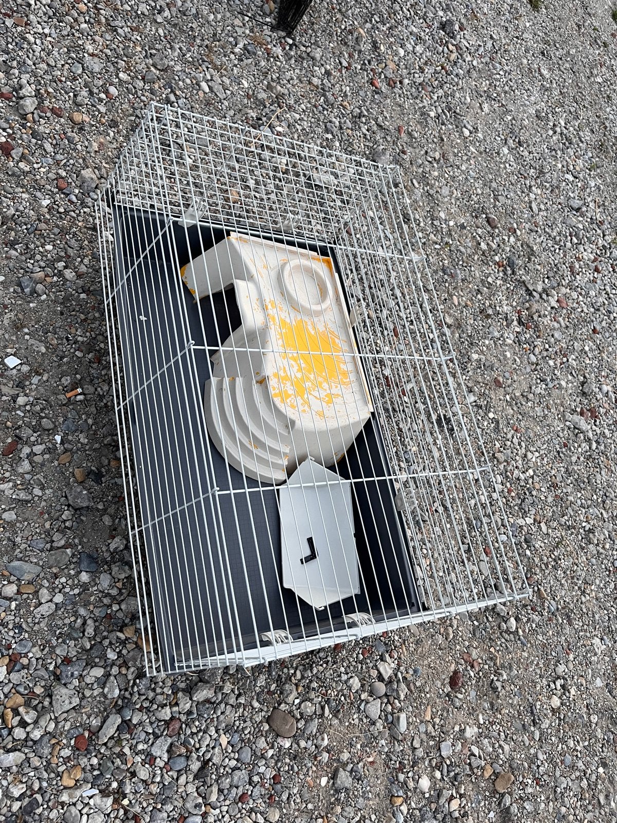 Kraagdieren hok vior binnen (nieuw), Dieren en Toebehoren, Ophalen of Verzenden