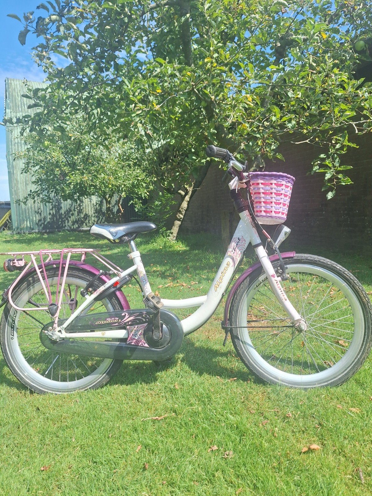 Alpina twirl meisjesfiets met mandje 24 inch, Ophalen, Terugtraprem, ALPINA, Handrem