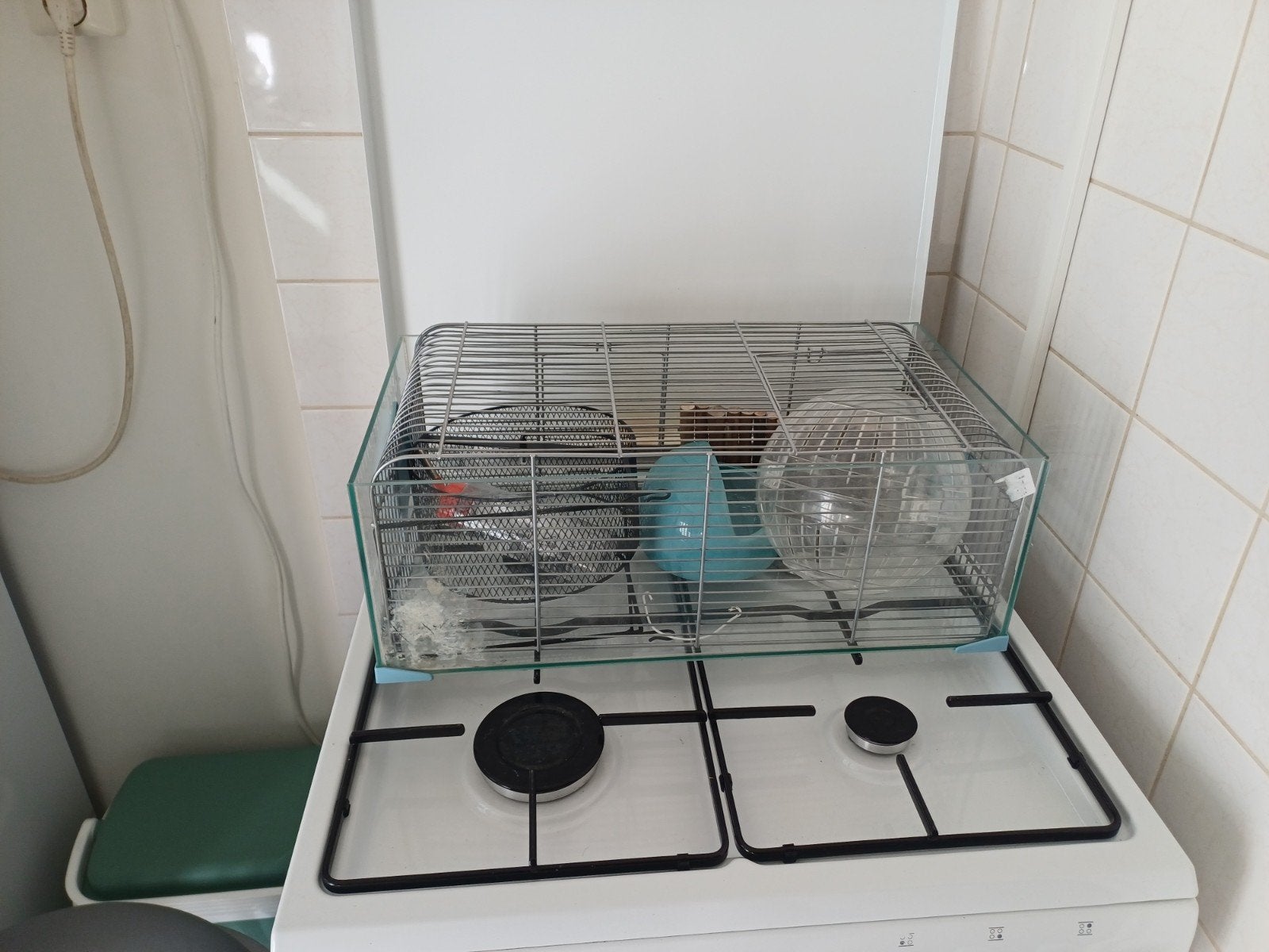 gratis hamsterkooi, Ophalen, Minder dan 75 cm, Kooi, Minder dan 60 cm