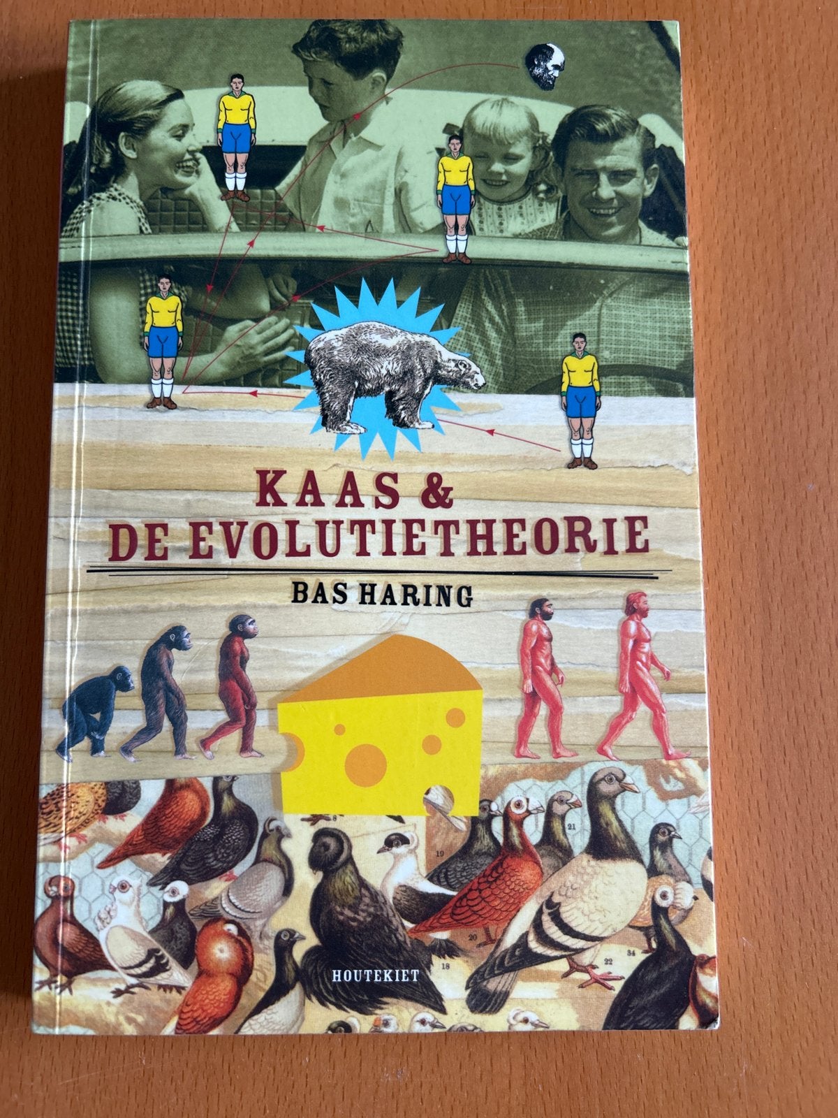 Bas Haring - Kaas en de evolutietheorie, Boeken, Bas Haring, Non-fictie, Ophalen of Verzenden, Zo goed als nieuw