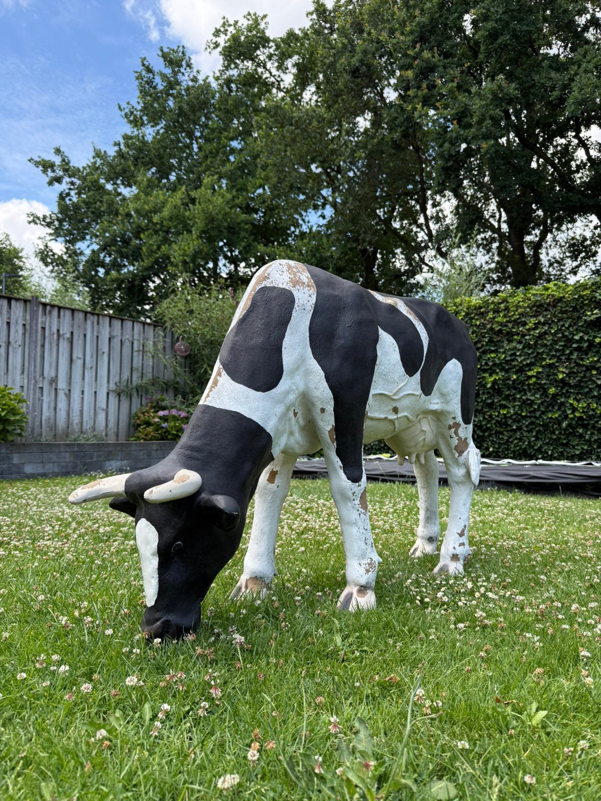Tuinbeeld grazende koe, Tuin en Terras, Tuinbeelden, Ophalen, Gebruikt, Kunststof, Dierenbeeld