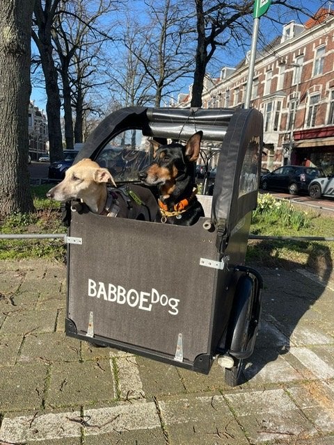 Babboe Dog E-bakfiets - Opknapper, Fietsen en Brommers, Gebruikt, Elektrisch, 2 kinderen, Schijfrem