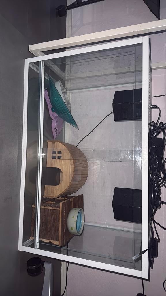 Terarrium voor reptielen of andere kleine huisdieren, Dieren en Toebehoren, Amfibie, Met terrarium, 0 tot 2 jaar