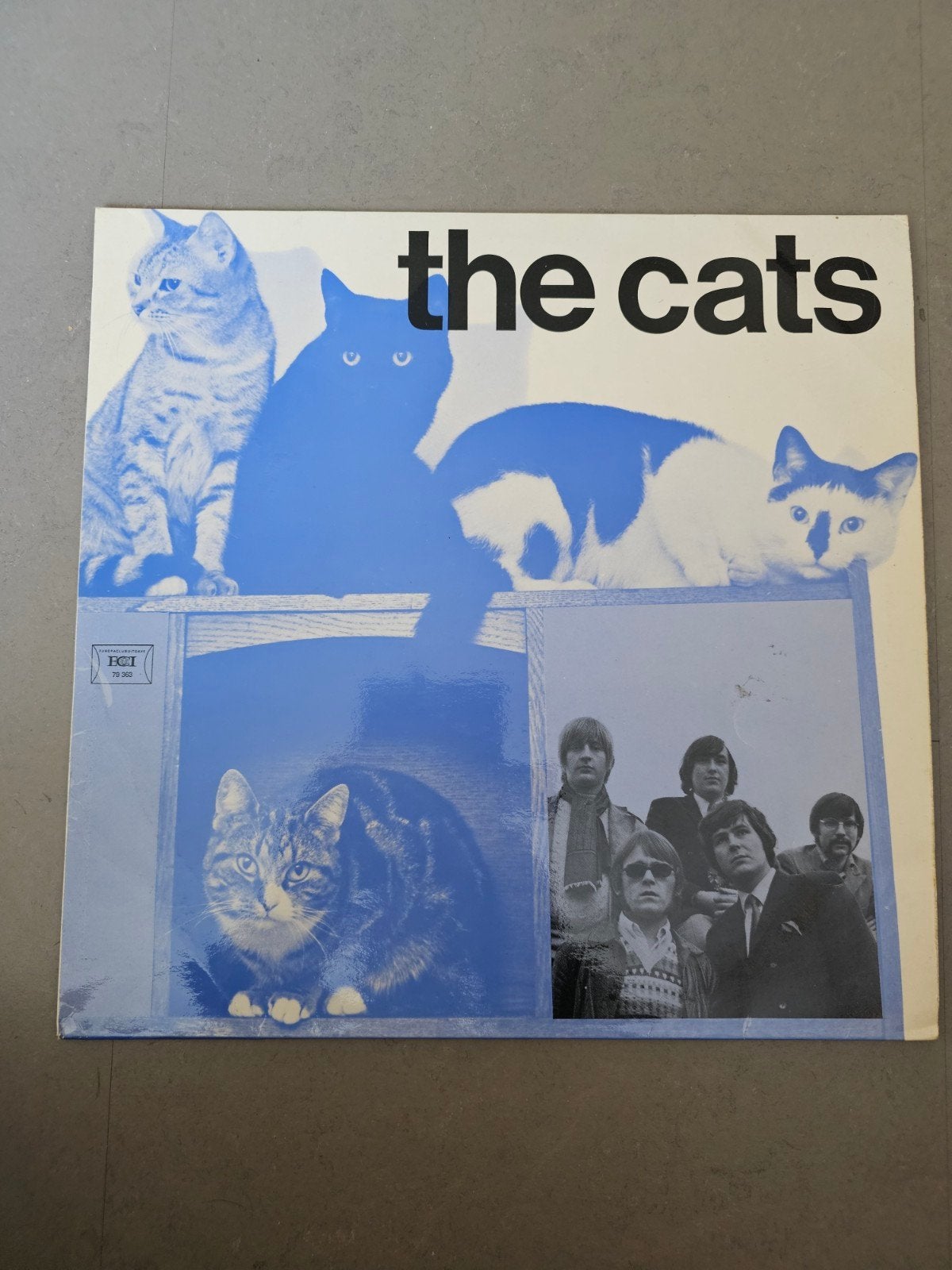 The Cats, Ophalen of Verzenden, Gebruikt, 12 inch